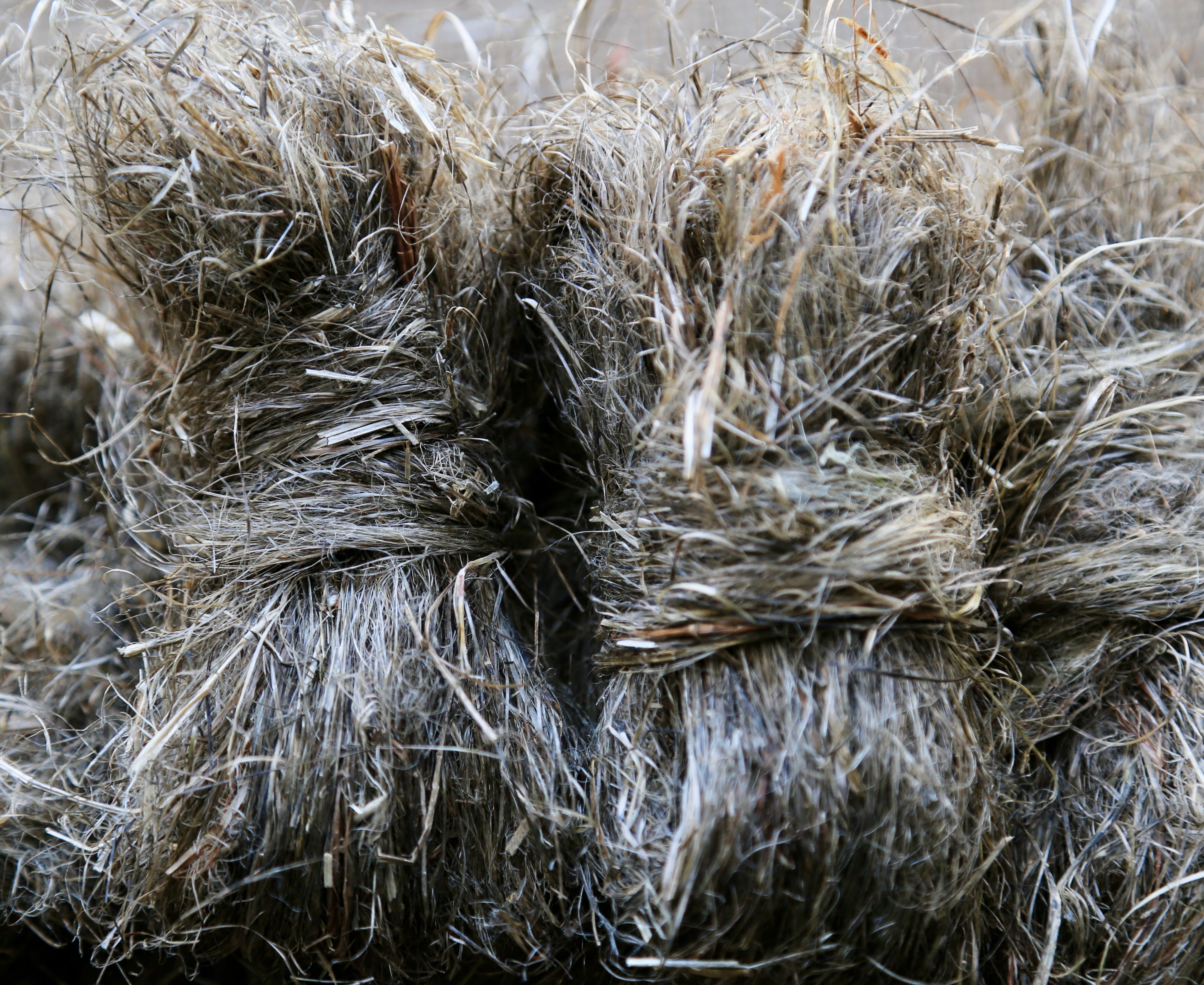 Hemp fiber – Pott Farms, L3C
