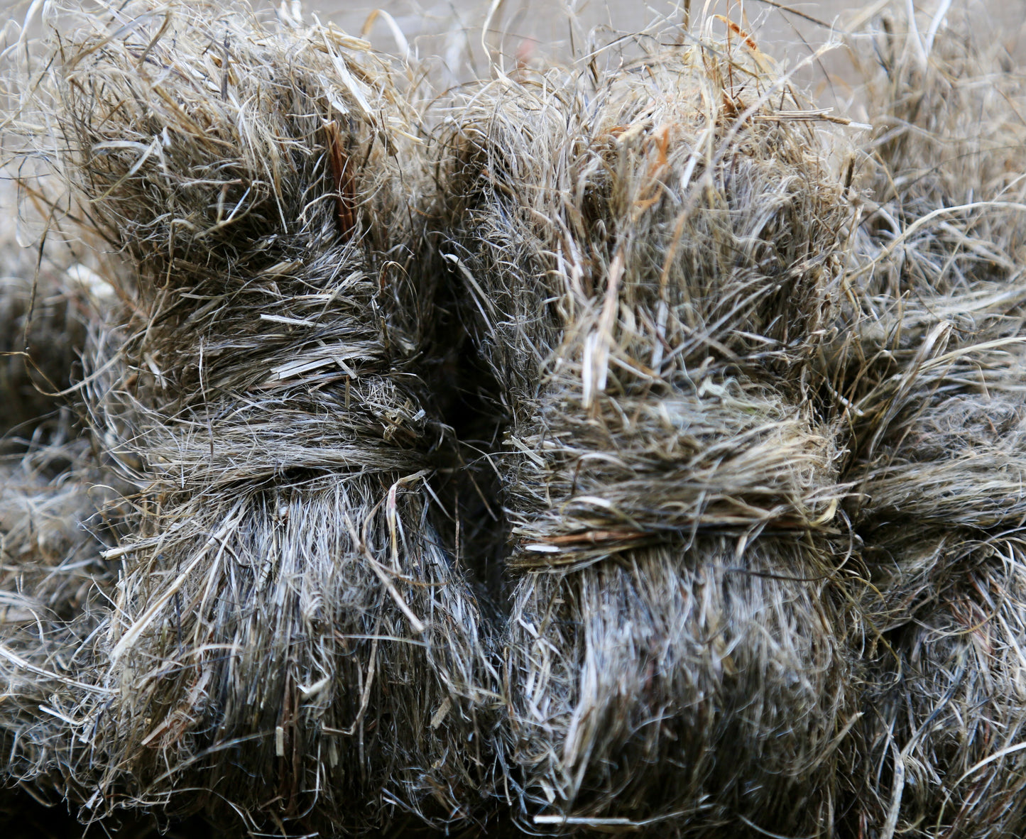 Hemp fiber - raw, long strands