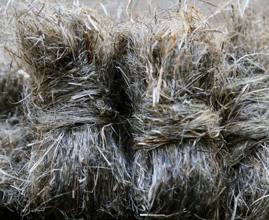 Hemp fiber