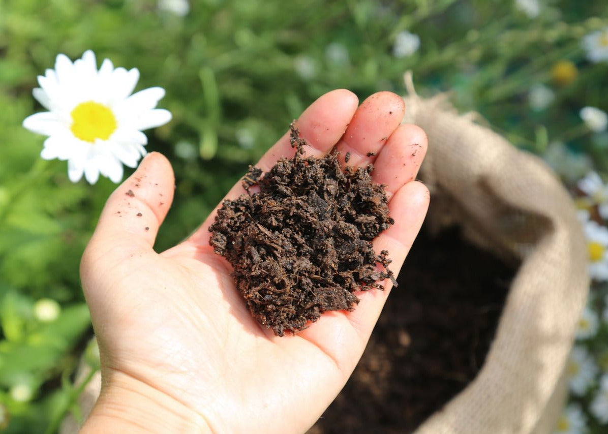 Compost B Ways to use biologically-active compost – Pott Farms, L3C