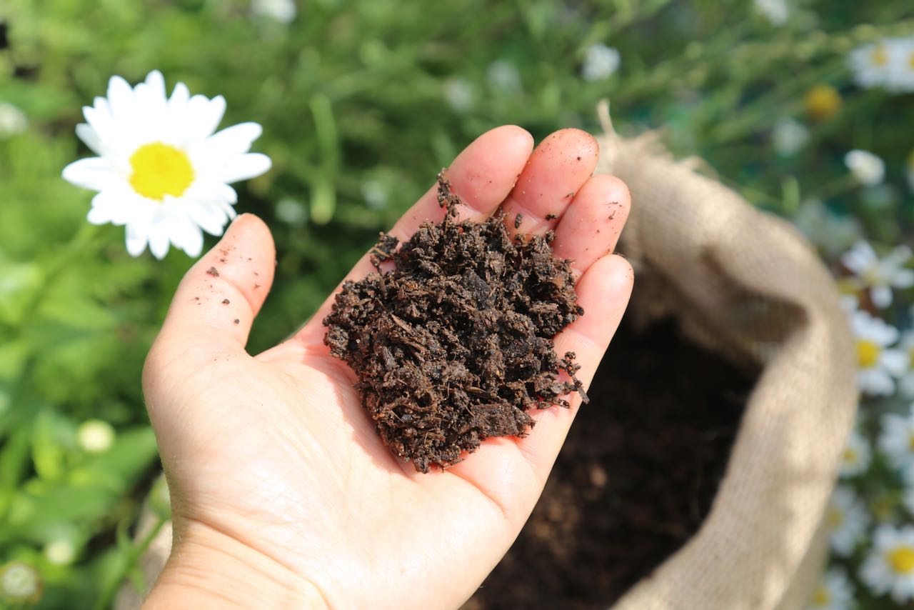 Biologically-active compost