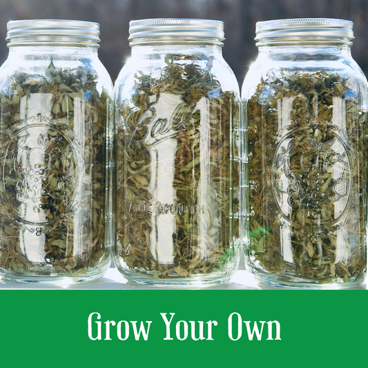 Grow Your Own - 2025 sessions